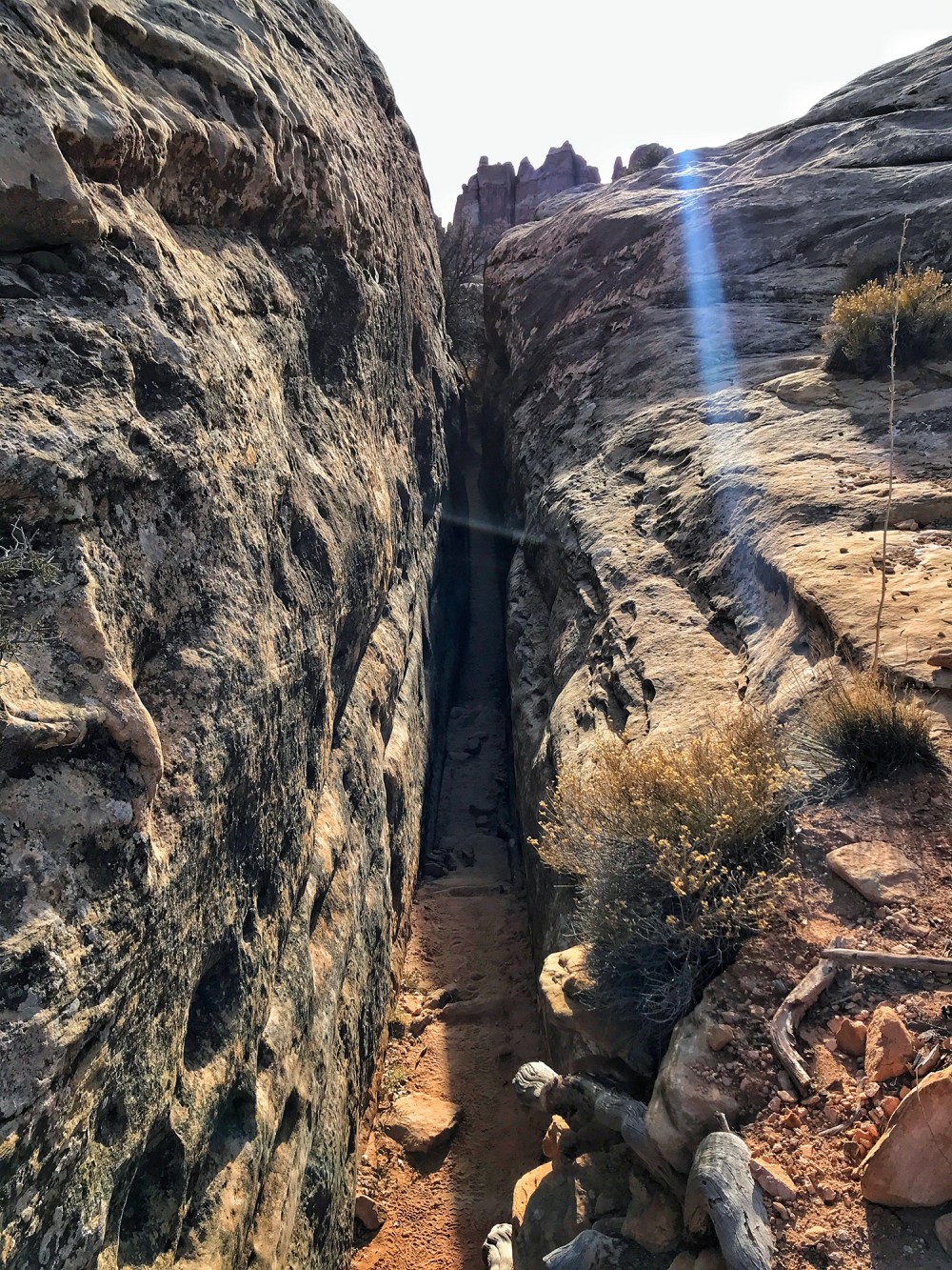 2019-11-cyld-ndls-08