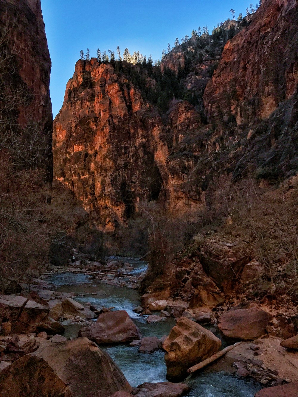 2019-13-zion-02