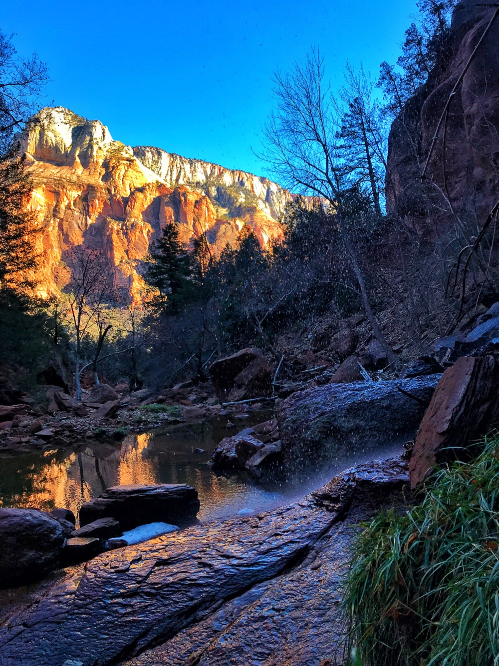 2019-13-zion-04