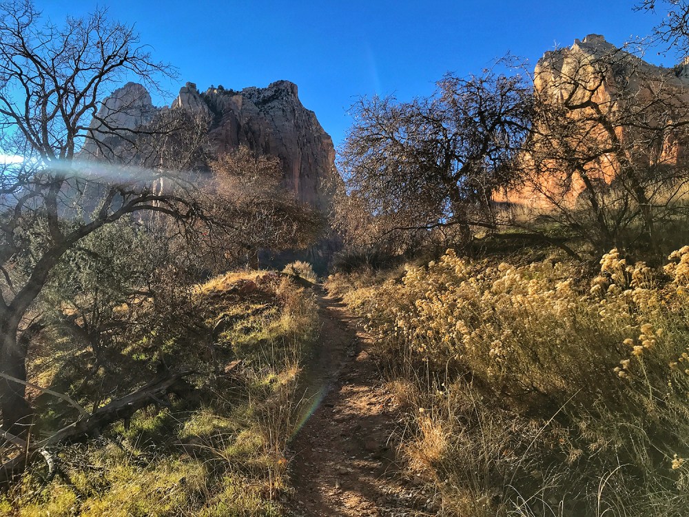 2019-13-zion-05