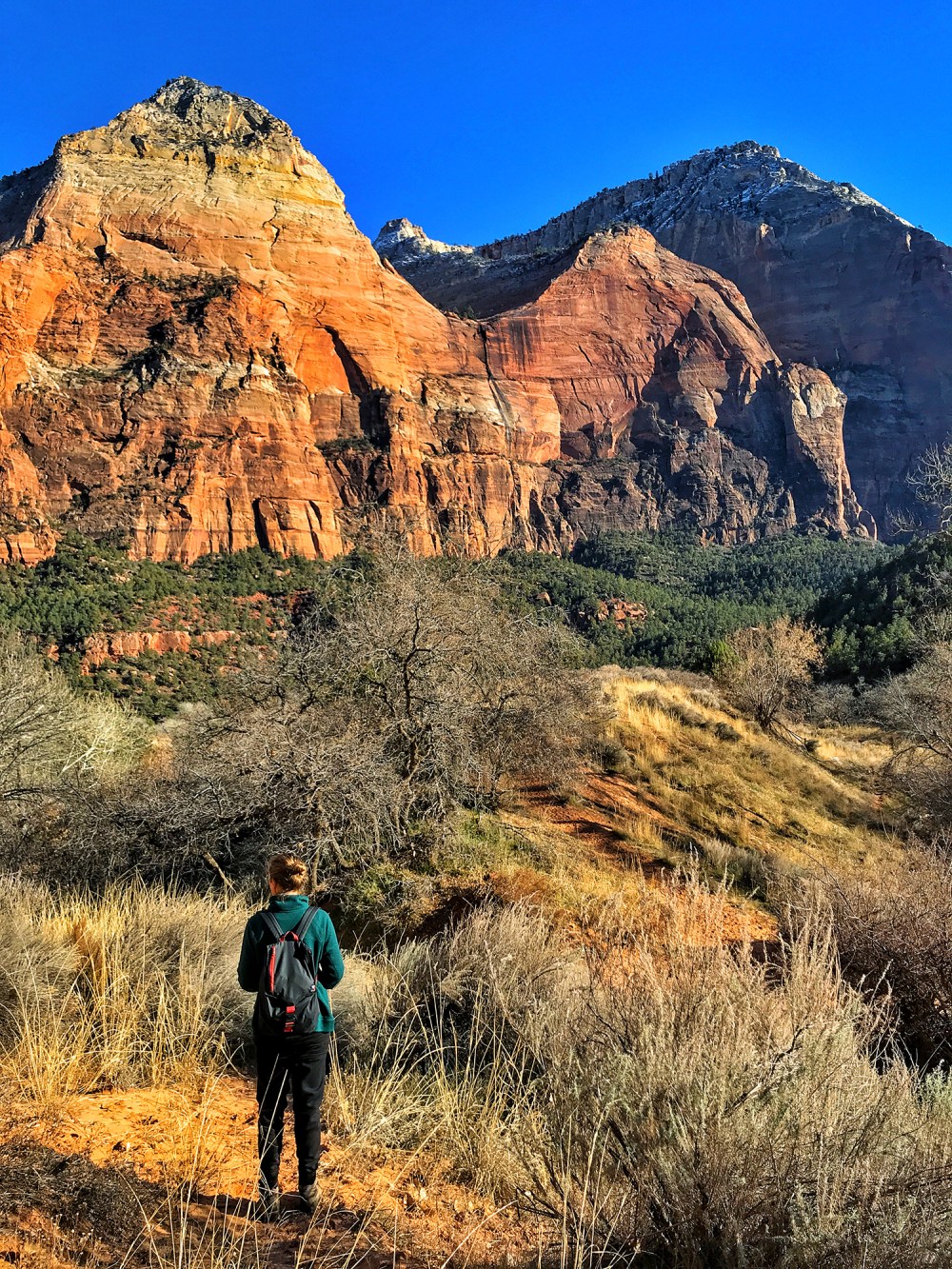 2019-13-zion-07